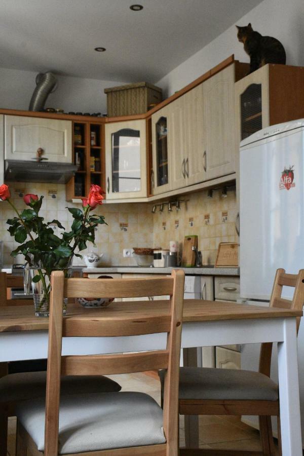 Apartament Rynek 11B Opole Luaran gambar